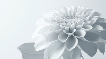 Poster - Bright white background featuring a delicate white flower showcasing its intricate petals and natural beauty in a minimalistic style