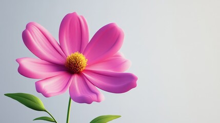 Poster - Cartoon rendering in 3D of a Cosmos Flower with a white background