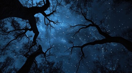 Poster - Starry sky over tree branches in 3D cartoon rendering