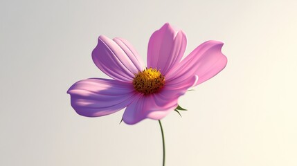 Aufkleber - Cartoon rendering in 3D of a Cosmos Flower with a white background