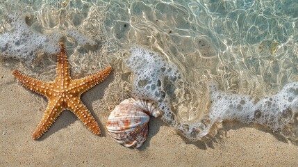 79.A detailed view of a starfish and a smooth seashell lying in the shallow waves of a beach. The clear sea water gently washes over them, and the soft light from the sun enhances the natural