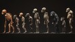 © Thirawat - A visual comparing the evolution of humans and other primates, showing the similarities and differences in skeletal structure, brain size, and other characteristics
