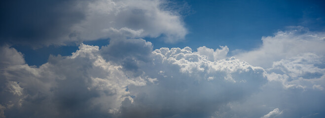Wall Mural - panorama of bluish white summer cumulus clouds building in the sky