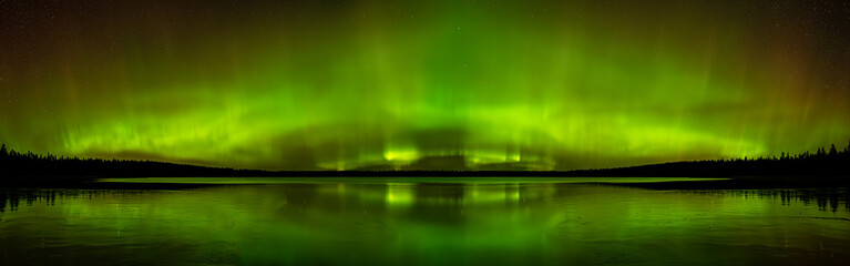 Wall Mural - panrama bright green aurora northern lights over a frozen northern lakes with trees