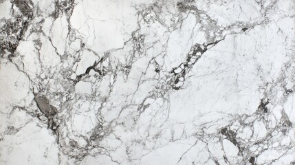 Poster - A detailed view of a light marble slab featuring intricate gray veining across its surface