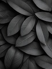 Wall Mural - Black and White Leaves