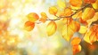 © VirtualVista - Vibrant yellow and orange autumn leaves on a branch basking in sunlight Perfect for an autumn themed banner
