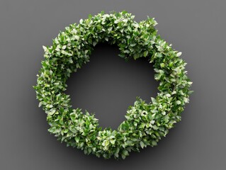 Wall Mural - Green leaf wreath on gray background