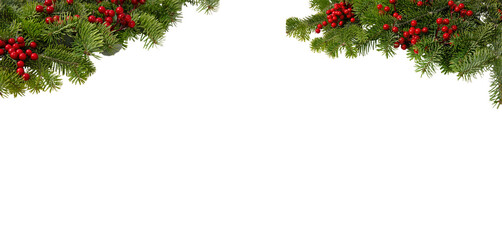christmas tree border and red holly berries decoration isolated on white transparent, xmas festive g