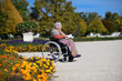 © Halfpoint - Portrait of elderly woman sitting in wheelchair and reading book. Semale senior spending warm autumn day in city park