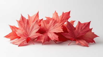 Sticker - A cluster of bright red maple leaves placed on a clean white background