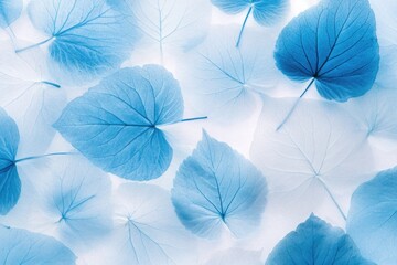 Poster - A close-up shot of a cluster of blue leaves, ideal for use in nature or botanical themed designs