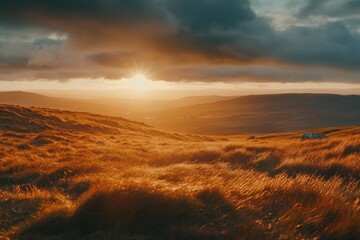 Poster - A serene landscape of a grassy hill at sunset, with warm colors and gentle shadows