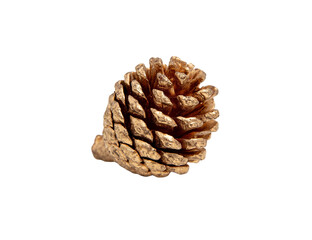 Pine cone isolated on white transparent, gold painted  conifer cone