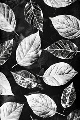 Poster - A collection of leaves in monochrome tone