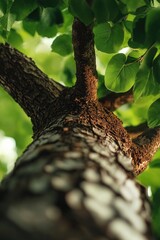 Poster - A close-up shot of a tree trunk covered in leaves, great for nature and outdoor themes
