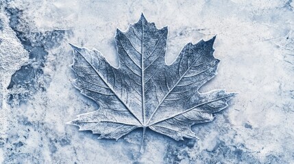 Poster - A close-up shot of a single leaf on a frozen surface, perfect for winter-themed designs or still life photography
