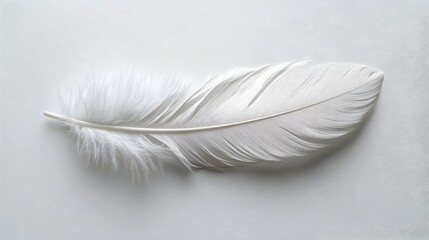 Poster - Delicate White Feather in Minimalist Gray Background Showcasing Softness and Airiness of Lightweight Plumage with Ethereal and Serene Presence.