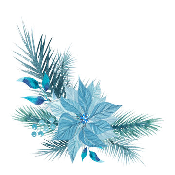 Watercolor illustration beautiful Christmas composition with fir tree branches and poinsettia flowers in blue-blue tone. Hand drawn New Year illustration