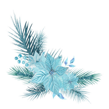 Watercolor illustration beautiful Christmas composition with fir tree branches and poinsettia flowers in blue-blue tone. Hand drawn New Year illustration