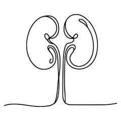 Wall Mural - one line drawing healthy kidney internal organvector illustration template design