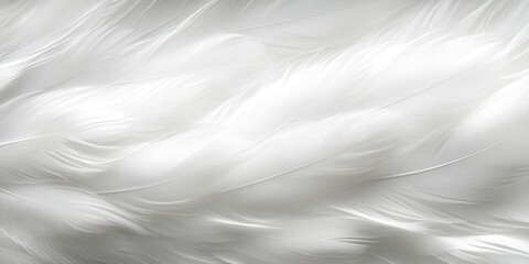 Poster - Soft and Light White Feathers Creating a Gentle Background for Various Creative Projects and Elegant Designs with Subtle Textures and Patterns