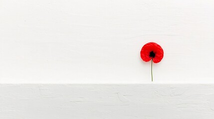 Aufkleber - A single vibrant red poppy placed delicately on a pure white background symbolizing reverence and remembrance for fallen soldiers in a respectful minimalist style