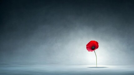 Aufkleber - A single vibrant red poppy flower surrounded by soft gentle light symbolizing remembrance and honoring those who have lost their lives in battle