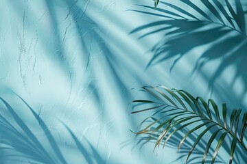 Poster - Abstract palm leaf shadow background for product presentation in spring summer.