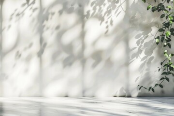 Wall Mural - minimalistic light background with blurred foliage shadow for presentations.