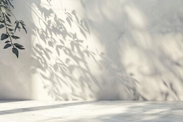 Wall Mural - minimalistic light background with blurred foliage shadow for presentations.