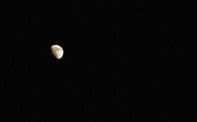 Wall Mural - half moon floating on sky in night