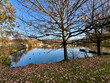© DANIL - A pond in the center of Krasna Lipa, Czech Republic. The ducks are swimming