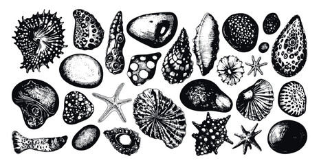 Wall Mural - Seabed Creatures Collection Linocut Vector Illustrations White Ocean Life Marine Animals Underwater Ecosystem Sea Creatures Shellfish Fish Crustaceans Coral Seaweed Aquatic Plants