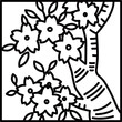 © nissat - 線画正方形シンプル花札　弥生　桜　3月　桜のカス