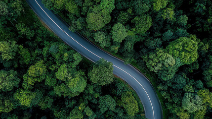 Poster - Winding road through green forest, aerial drone photography