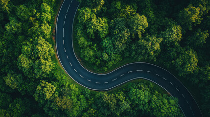 Aufkleber - Winding road through green forest, aerial view from drone