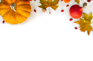 Wall Mural - pumpkin, acorns, red berries, apples and autumnal colorful maple leaves on a white background with s