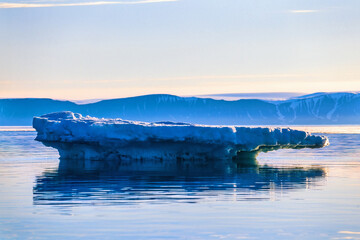 Wall Mural - Melting iceberg outside the coast of Svalbard