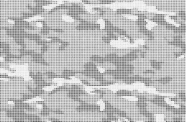 Leinwandbilder - Abstract halftone seamless camouflage pattern. Repeating digital dotted hexagonal camo military texture background. Abstract modern fabric textile ornament. Vector illustration.