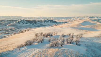Poster - Expansive shot of rolling hills covered in snow, with clusters of trees creating a symmetrical effect in the soft winter landscape. No text, no logo, wide angle shot, cinematic scene, 4k resolution