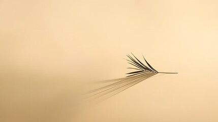 Aufkleber - A lone palm leaf shadow falling across a blank beige background, creating a subtle and abstract minimalist look. No text, no logo, wide angle shot, cinematic scene, 4k resolution