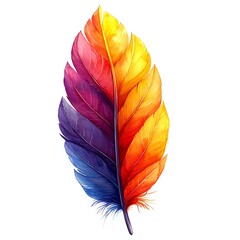 Wall Mural - Watercolor Colorful Feather Illustration.