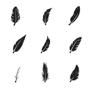 Quill In cartoon, hand-drawn flat style. image for social media, websites and UI. Isolated 2D vector design in logo, icon, sketch style, simple line vector, single color. AI Generative Art.
