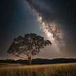 © cff999 - a lone tree stands in the middle of a field under a starry sky
