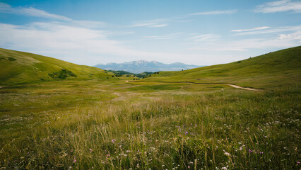 Wall Mural - An open landscape of lush hills and a winding path cutting through tall grass, framed by distant mountains, perfect for outdoor enthusiasts.