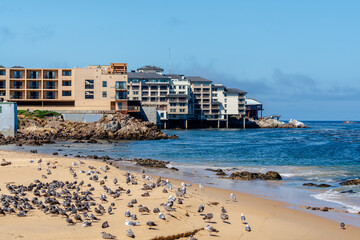 Wall Mural - Cannery Row, California with city and ocean