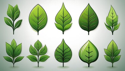Aufkleber -  A set of green leaf icons featuring leaves of trees and plants on a white background, s_1(576)