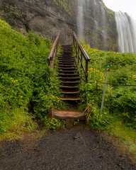 Wooden well used stairs in Iceland waterfall yellow flowers