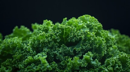 Wall Mural - Close-up of Fresh Green Kale Leaves